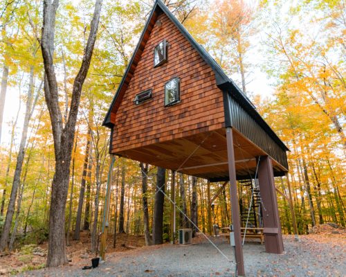 pexels andreaedavis 10511470